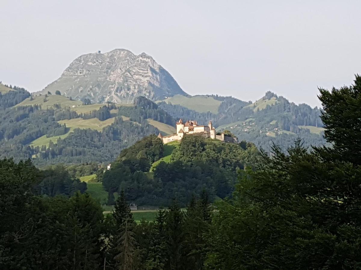 Au soleil de Gruyères chez Chantal Extérieur photo